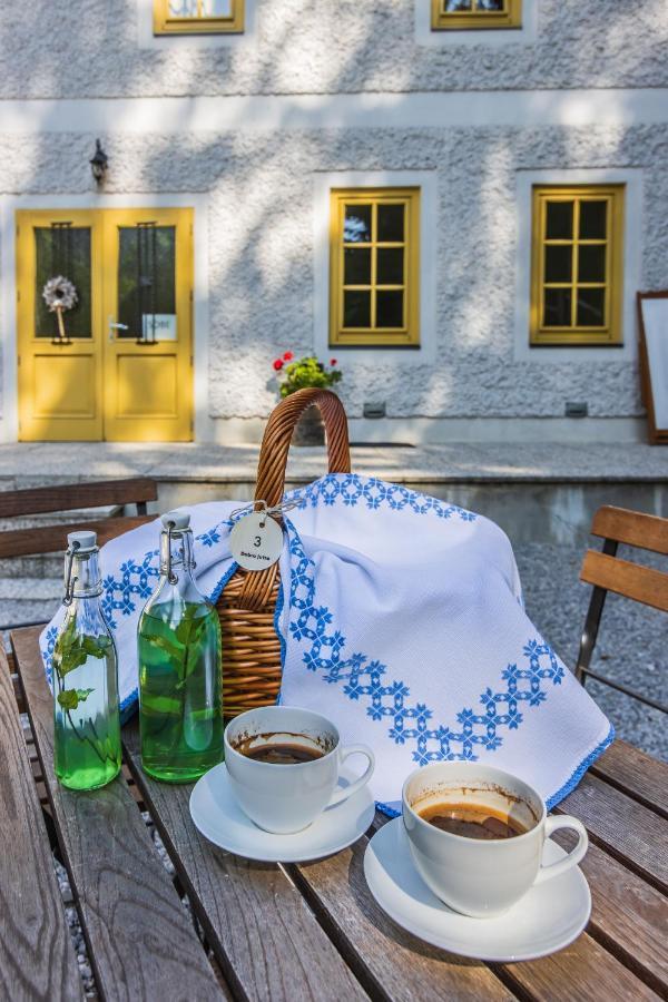 Boutique Rooms Pri Rogovilcu Solčava Zewnętrze zdjęcie