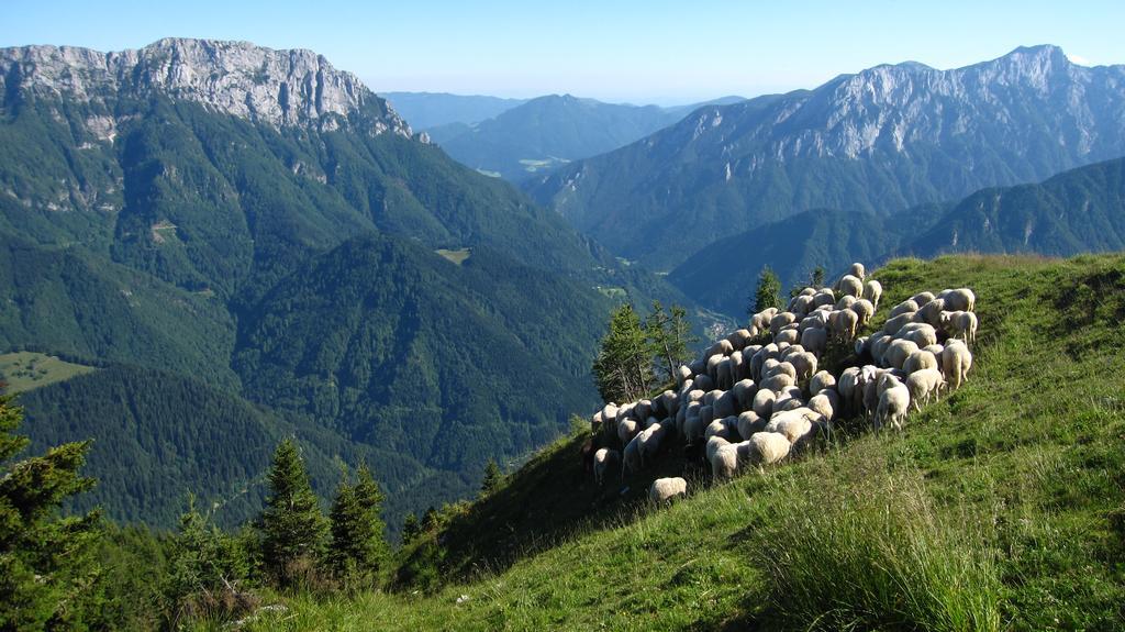 Boutique Rooms Pri Rogovilcu Solčava Zewnętrze zdjęcie