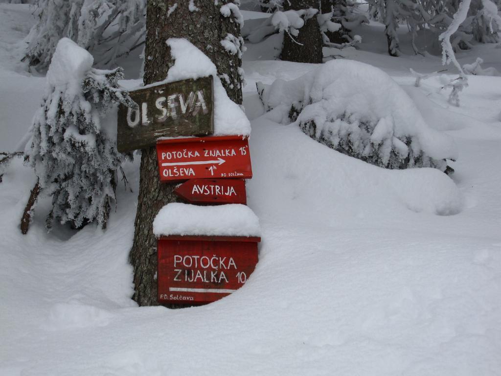 Boutique Rooms Pri Rogovilcu Solčava Zewnętrze zdjęcie