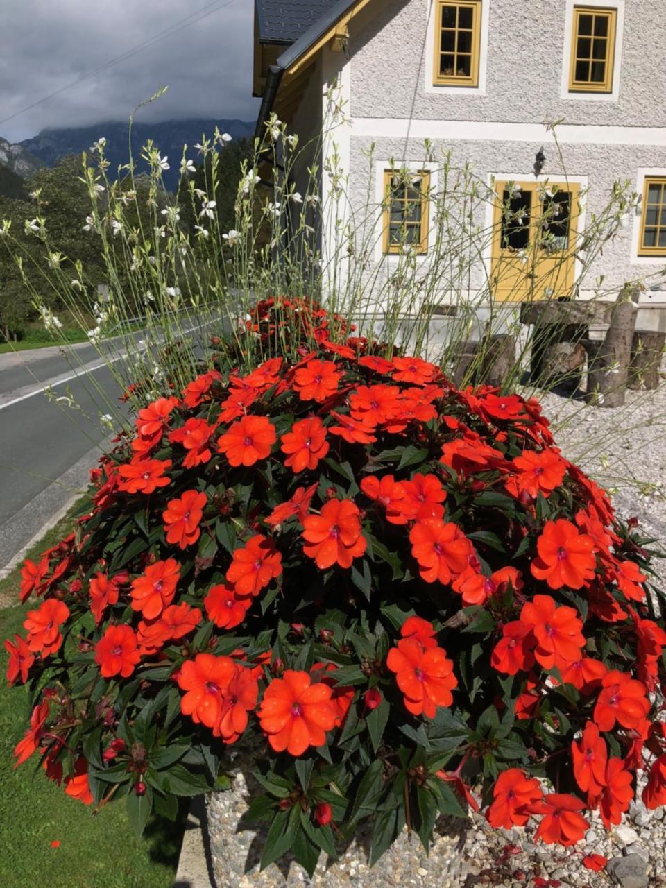 Boutique Rooms Pri Rogovilcu Solčava Zewnętrze zdjęcie
